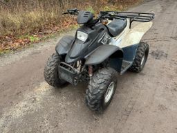 Dinli-100cc T-Rex ATV / ATV